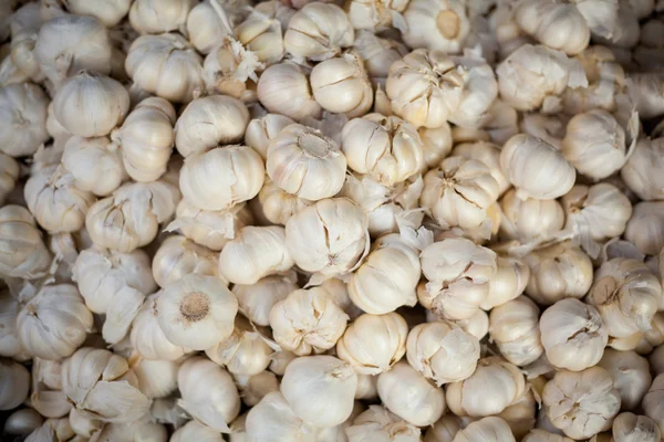 Fresh garlic on market — Stock Photo, Image