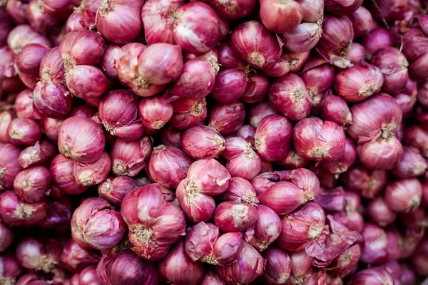 Verduras frescas en el mercado — Foto de Stock