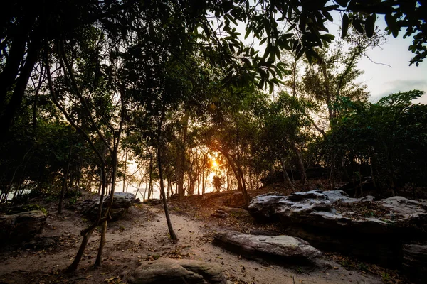 Tropiska landskapet i Koh Rong — Stockfoto