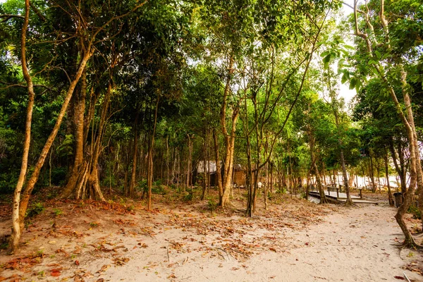 Tropische landschap van Koh Rong — Stockfoto