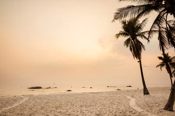 Hua Hin tropikal peyzaj — Stok fotoğraf