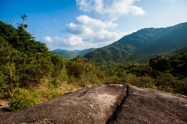 Trekking por la selva en Koh Phangan —  Fotos de Stock