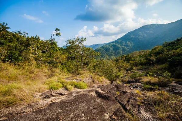 Trekking por la selva en Koh Phangan —  Fotos de Stock