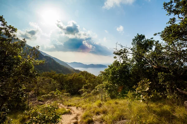 丛林徒步旅行在帕岸岛 — 图库照片