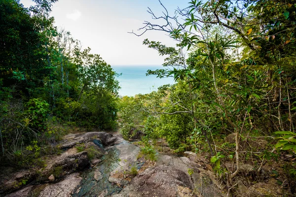 Trekking por la selva en Koh Phangan — Foto de Stock