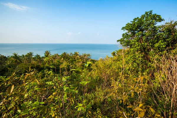 Caminhada na selva em Koh Phangan — Fotografia de Stock