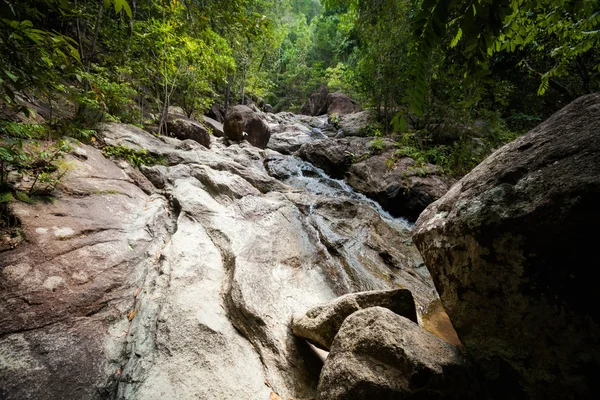 Trekking por la selva en Koh Phangan —  Fotos de Stock