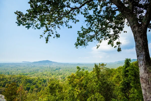 Trekking por la selva en Koh Phangan —  Fotos de Stock