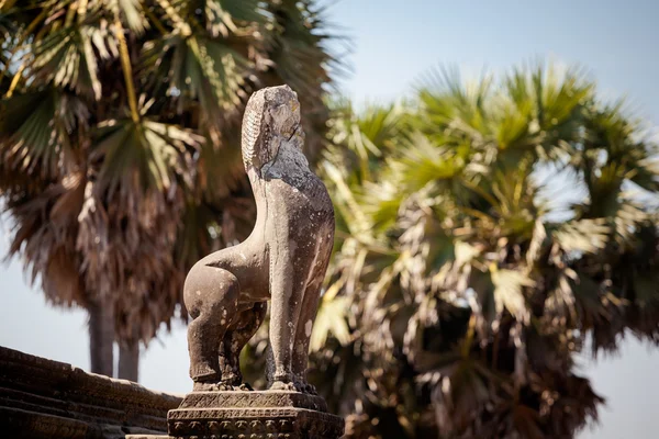 Angkor wat templos en Camboya — Foto de Stock