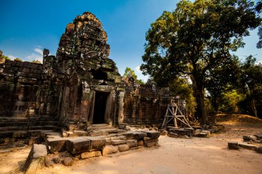 Ta som Tapınağı Angkor Kamboçya