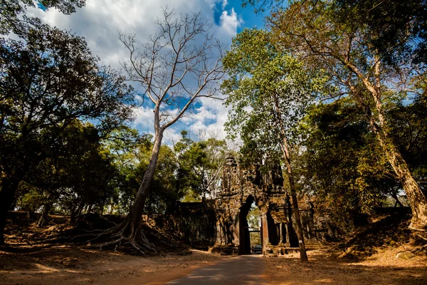 Ta som templet Angkor Kambodja — Stockfoto