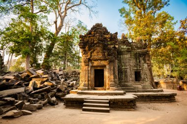 Ta Prohm Tapınağı Angkor Wat