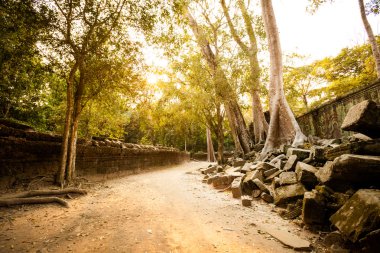 Ta Prohm temple Angkor Wat clipart