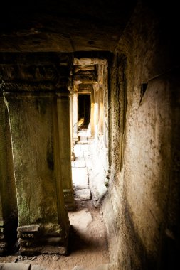 Ta Prohm Tapınağı Angkor Wat