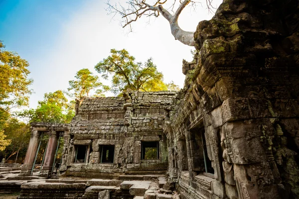 Templo de Ta Prohm Angkor Wat — Foto de Stock