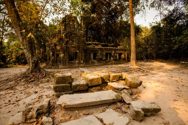 Храм Та Прома Ангкор Ват — стоковое фото