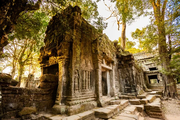 TA Prohm храм Ангкор-Ват — стокове фото