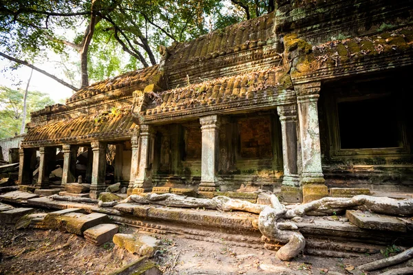 Ta Prohm Tapınağı Angkor Wat — Stok fotoğraf