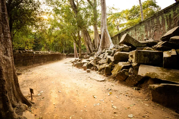 Ta Prohm-templet Angkor Wat — Stockfoto