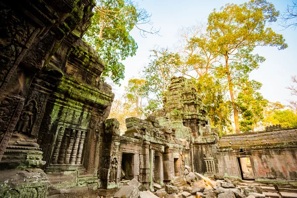 Ta Prohm-templet Angkor Wat — Stockfoto