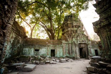 Ta Prohm Tapınağı Angkor Wat
