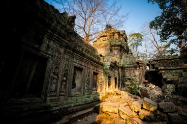 Ta Prohm Tapınağı Angkor Wat