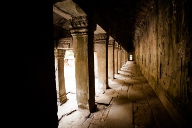 Ta Prohm Tapınağı Angkor Wat