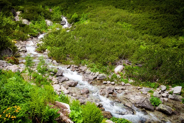 Bella Tatry montagne paesaggio Cinque Laghi Valley — Foto Stock