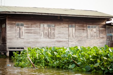 Bangkok thonburi klongs - Kanallar Görünümü