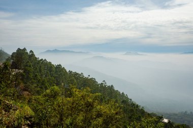 Hint Munnar dağlarında güzel bir manzara. Güney Hindistan 'ın yemyeşil yeşili.