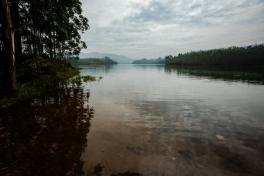 Hint Munnar dağlarında güzel bir manzara. Güney Hindistan 'ın yemyeşil yeşili.
