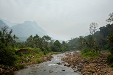 Hint Munnar dağlarında güzel bir manzara. Ormandaki şelale, Güney Hindistan 'ın yemyeşil yeşili..