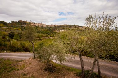 Güzel sonbahar Tuscany üzüm bağları görünümü