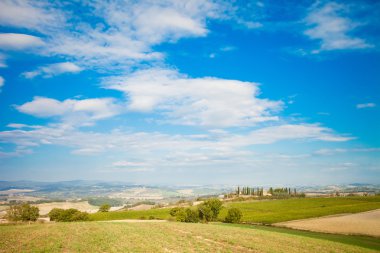Güzel sonbahar Tuscany üzüm bağları görünümü