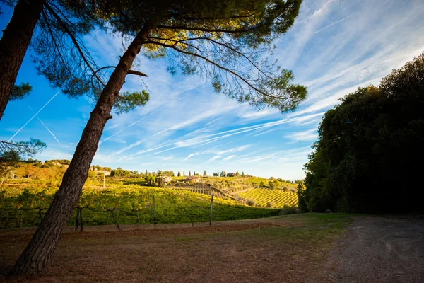 Outono bonito vista vinhedos da Toscana — Fotografia de Stock