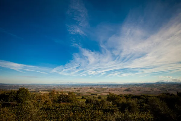 Szép őszi Tuscany szőlőültetvényekre nézetben — Stock Fotó