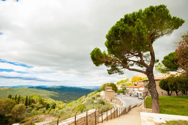 Outono bonito vista vinhedos da Toscana — Fotografia de Stock