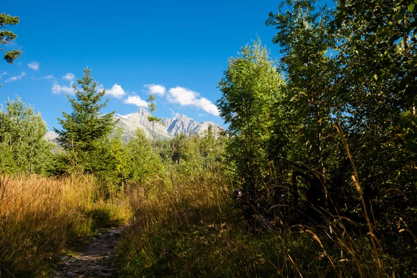 Slovenská Spiski jezera Poprad — Stock fotografie