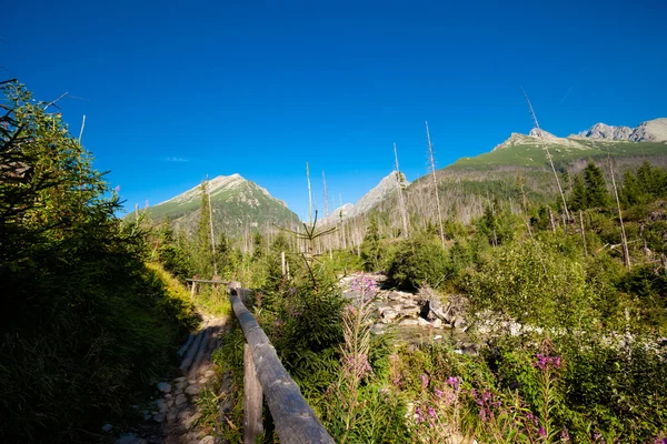 Lagos Spiski eslovacos Montañas de Tatry —  Fotos de Stock