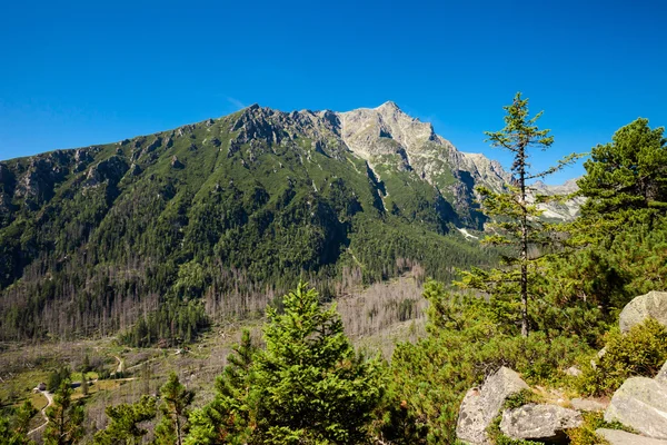 Slovakian Spiski lakes Tatry mountains — Stock Photo, Image