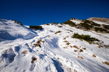 Slovakça Belianske Tatry dağlara manzara