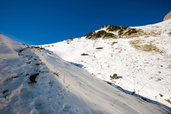 Slovakiska Belianske Tatry bergen landskap — Stockfoto