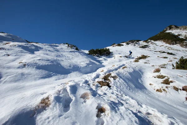 Slovakiska Belianske Tatry bergen landskap — Stockfoto