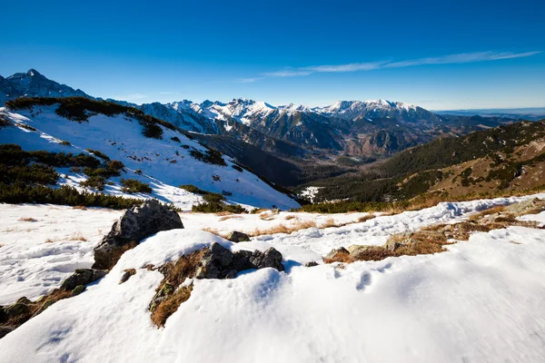 Slovakiska Belianske Tatry bergen landskap — Stockfoto