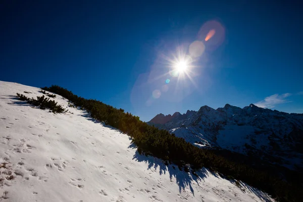 Slovakiska Belianske Tatry bergen landskap — Stockfoto