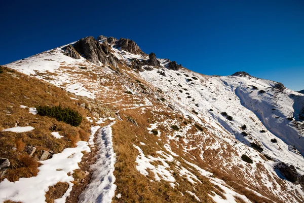 Slovakiska Belianske Tatry bergen landskap — Stockfoto