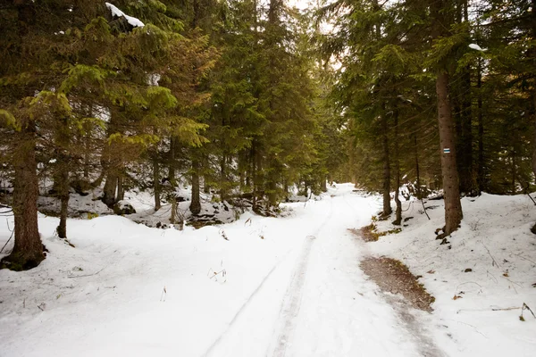 Slovakian Belianske Tatry mountains landscape — Stock Photo, Image