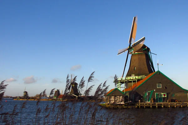 Zaandam architekture - molinos en Holanda — Foto de Stock