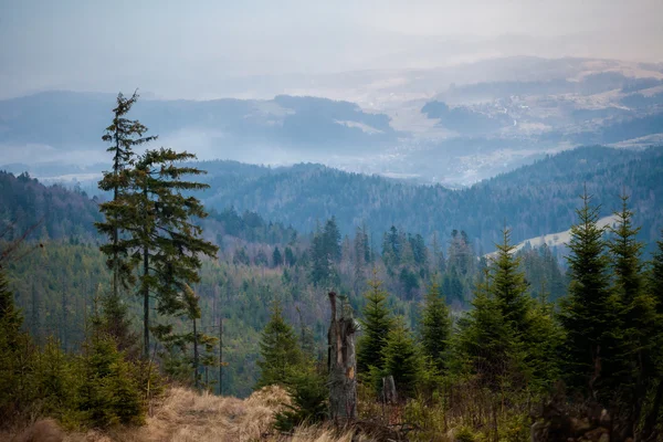美しい霧 Beskidy 山の風景 — ストック写真
