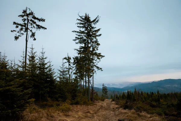 Hermoso niebla Beskidy montañas paisaje — Foto de Stock